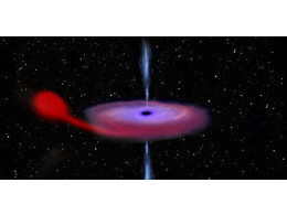 7822d1cd.jpg