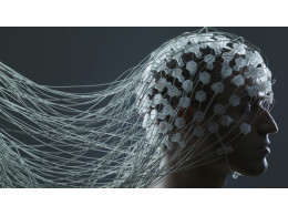 MAC36_BRAIN_CAROUSEL01-650x366.jpg