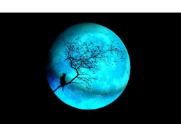 blue-moon-650x400.jpg