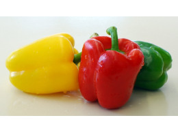 1_Bell_Pepper-650x366.jpg