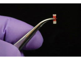 sensor-650x433.jpg