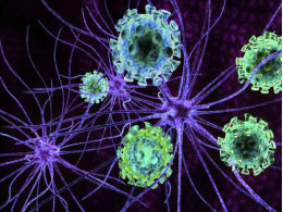 cancer-650x488.jpg