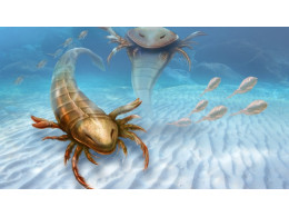 monster-sea-bug.jpg