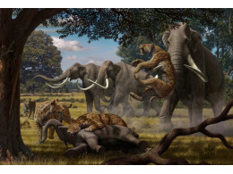 mammoth.jpg