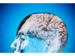 iq-msk.kp_.ru-1448223728nk84g-520x346.jpg