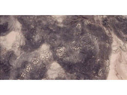 c373b05442246e678d2595264e88881e.jpg