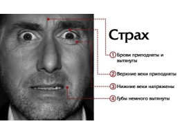 Страх.jpg