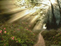 wallpapers_27697.jpg