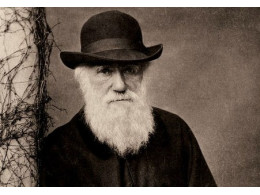 darw-pic452-452x452-69553.jpg