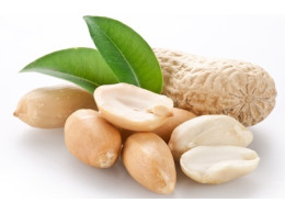 peanut.jpg