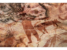 uchenyie-ob-yasnili-proishozhdenie-dingo.jpg
