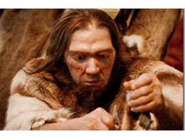 zhenschiny-ne-mogli-rozhat-ot-neandertalcev-uchenye_1.png