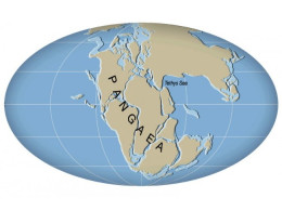 Pangaea.JPG-650x487.jpg