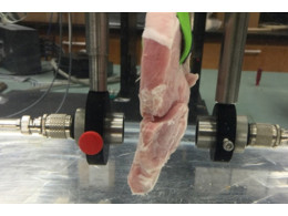 meat-comm-pork-loin-900x600-640x0.jpg