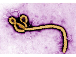 Ebola-2.jpg