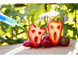 Fotolia_93383272_Subscription_Monthly_M_2507470089339509.jpg
