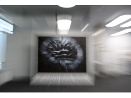 50_main_nomark.jpg
