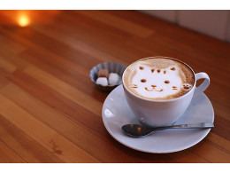 cafe-de-gato.jpg