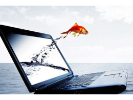1477129047_wallpaper-fish-jump-from-notebook-1024x768.jpg