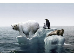 global-warming-fact-fiction_4e96d78520cc1019_-Kju4vzITuaYeDO13NXjHw-750x422.jpg