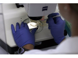 scientists-continue-stem-cell-research-while-courts-debate-ban-103686243-56281ef3e9b08.jpg