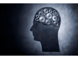 brain-post.jpg