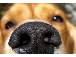 shutterstock_1545230.jpeg