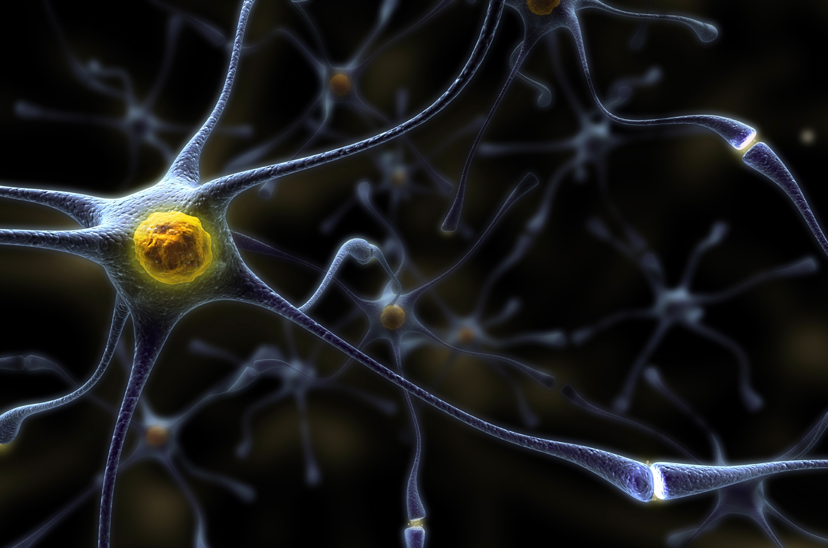 Клетки мозга восстанавливаются. Нервная клетка. Нервная ткань. Нервные клетки фото. Нейрон картинка.