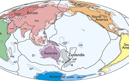 1487225980-4355-zealandiyu-nazvali-sedmyim-kontinentom